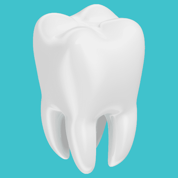 สำเนาของ ขูดหินปูน (1)